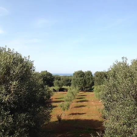 Trullo Vicino Al Mare Holiday home