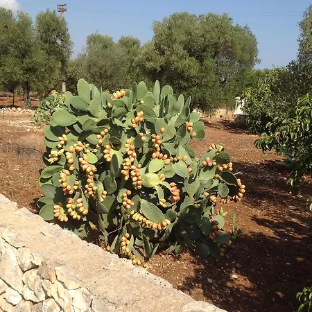 Trullo Vicino Al Mare Ostuni